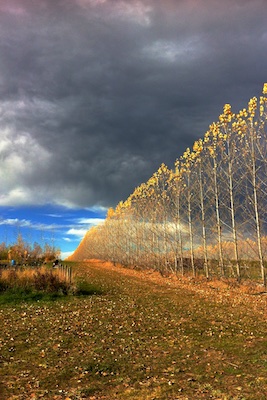 Exciting Skies